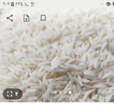 برنج هاشمی گیلان