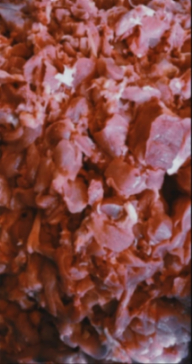 قلوگاه گوسفندی