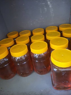 عسل کنار /عسل گون /عسل آویشن/ عسل بهارنارنج/عسل دیابتی