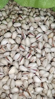 پسته نصرالهی