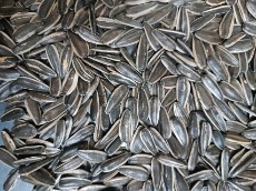 تخمه کدو گوشتی و آفتاب گردان