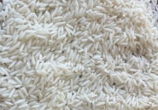 برنج هاشمی ،علی کاظمی