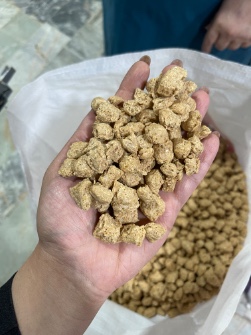 انواع تیپ های سویا