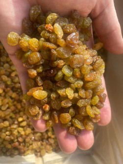 کشمش پلویی تیزابی