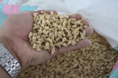 سویا بافت دار پروتئینی