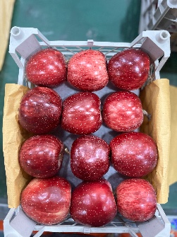 سیب قرمز و سفید