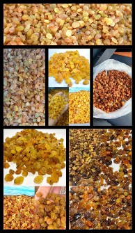 کشمش تیزابی سلطانی طلایی حلوایی شکرک