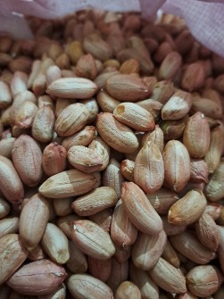 بادام زمینی