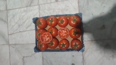 گوجه دافنیس