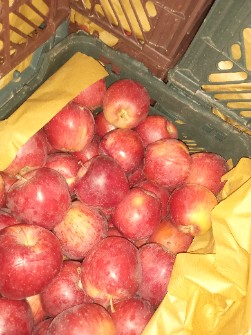 سیب قرمز وسفید