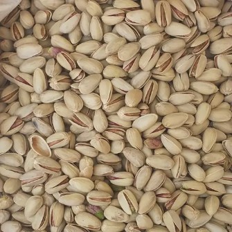 پسته صادراتی