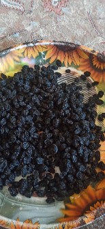 مویز انگور سیاه دیم کاملا اورگانیک