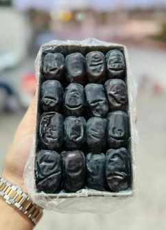 خرما مضافتی بم و خرمای درجه 2و3