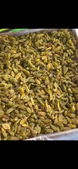 کشمش سبز کاشمری صادراتی