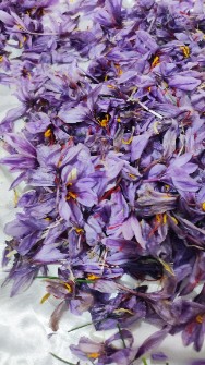 زعفران نگین اتویی