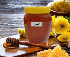 عسل گون و  آویشن