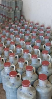 خیارشور ویژه