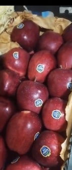 سیب قرمز استخوانی