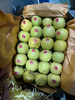 سیب قرمز و زرد