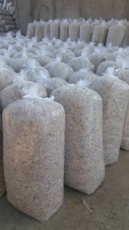 تفاله چغندر