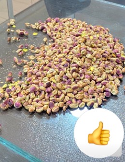 مغز پسته سال