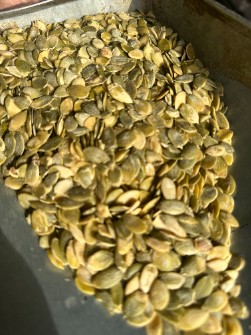 مغز کدو ایرانی