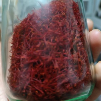 زعفران سرگل نگینی