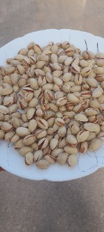 پسته نصرالهی