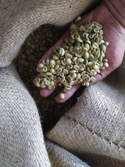 قهوه ویتنام