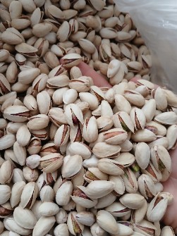 پسته اکبری_بادام_سفید