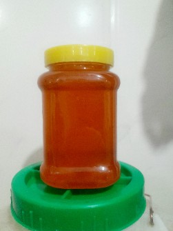 عسل اورگانیک