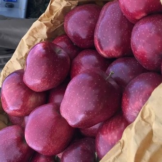 سیب زرد و قرمز