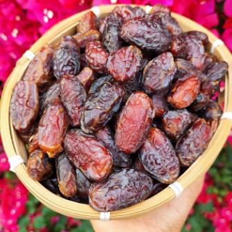 انواع خرما صادراتی