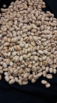 پسته کله قوچی دست چین