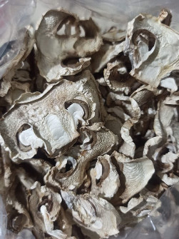 قارچ خشک درجه یک