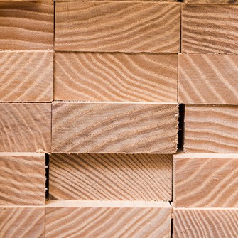 چوب یولکا نراد روسی