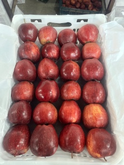 سیب قرمز صادراتی برای هند ،روسیه ،پاکستان ، ترکمنستان ،عراق،دبی وغیره