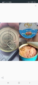 تن ماهی درفام هوور