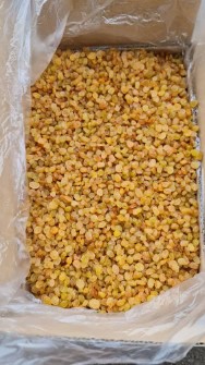 کشمش پلویی طلایی