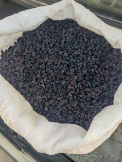 مویز بیدانه ترکمن 4