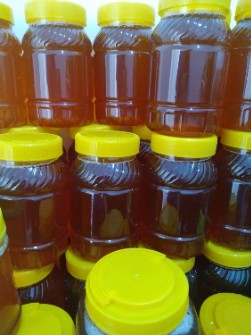 عسل شهد بدون موم طبیعی کوه سهند مراغه