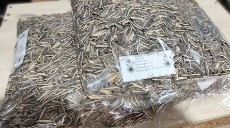 تخمه آفتابگردان دور سفید اس 300 کانادایی