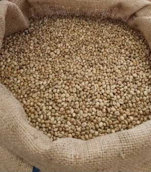 دان سبز پی بی هند