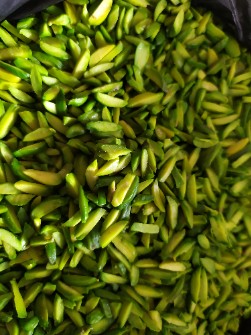 خلال پسته بویین زهرا