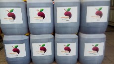 کنسانتره میوه گالنی