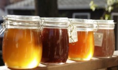 عسل محلی و کاملا طبیعی