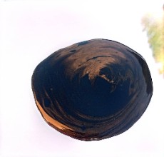 ملاس چغندر قند